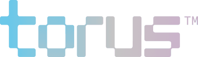 Torus wordmark gradient logo
